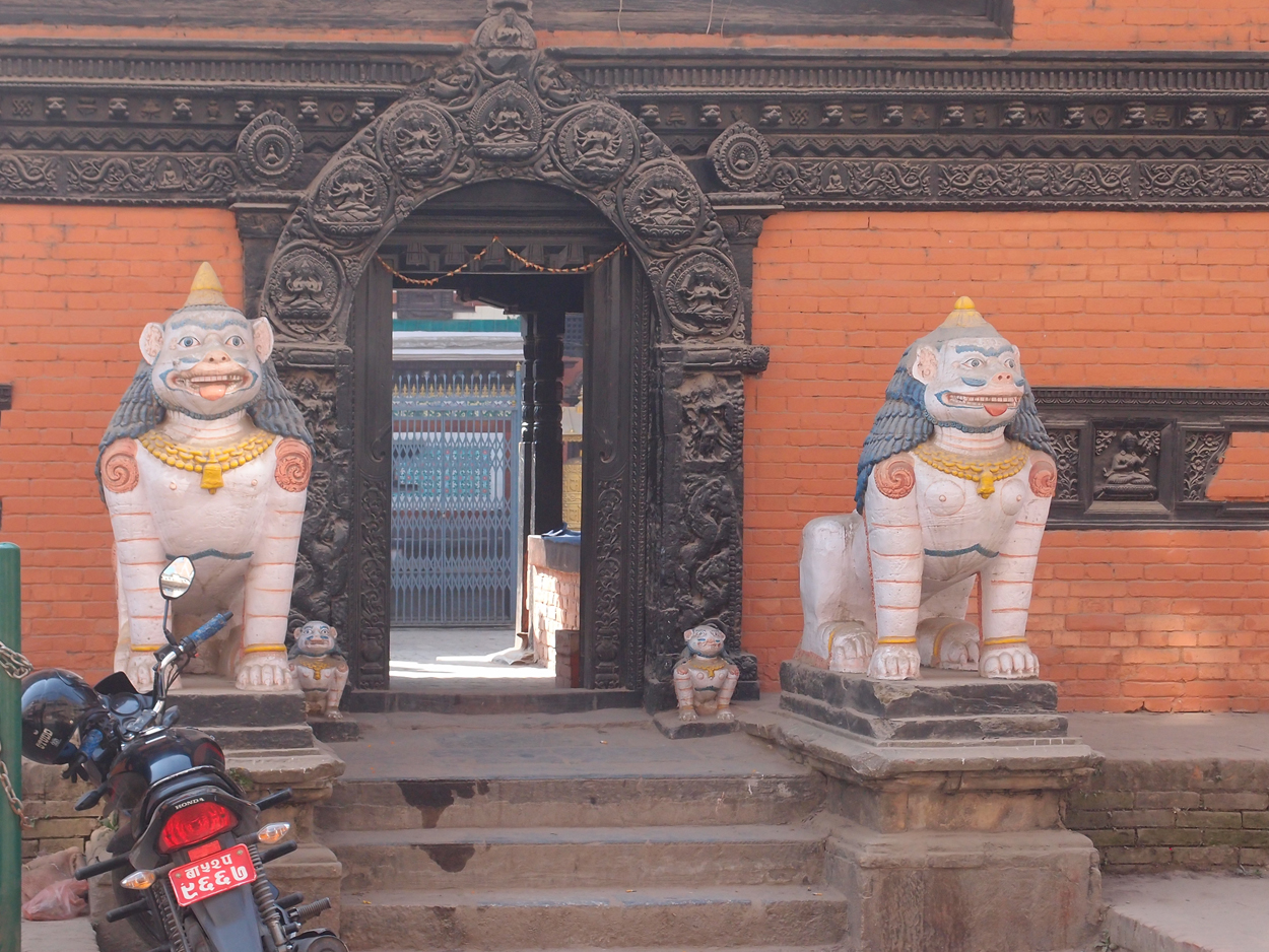 2018-01-19 11 Uhr - Patan (Foto, Video) 